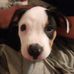 Profile Picture of Mary Kephart (@mary.kephart.9231) on Facebook