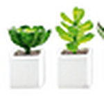 Profile Picture of Regina Ruanova (@regina ruanova) on Flickr