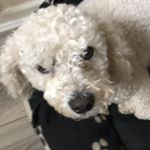 Profile Picture of Orlaith Gregg (@rosemarygregg.0) on Instagram