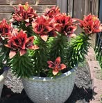 Profile Picture of Michelle M Adams (@michelle.m.adams.2025) on Facebook