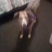 Profile Picture of Nancy Joyal (@nancy.joyal.14) on Facebook