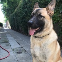 Profile Picture of Ashlee Kim (@ashlee-kim-2) on Quora