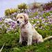 Profile Picture of John Hsueh (@jakesmaster) on Pinterest