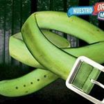 Profile Picture of Raymond Polanco El Diferente (@raymondpolancoeldiferente) on Instagram