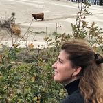 Profile Picture of Simone Schouten (@smeschouten) on Instagram