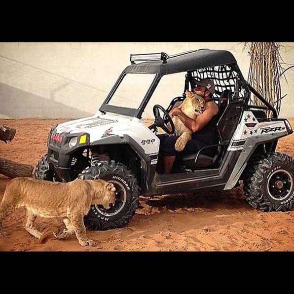 Profile Picture of David Rodriguez (@davidrodrigu713) on Poshmark