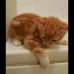 Profile Picture of Tolni-ann Mortimer (@toni88taz) on Instagram