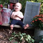 Profile Picture of Andrew Gribben (@grib23) on Instagram