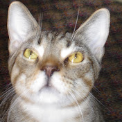 Profile Picture of James Ritchie (@jamesaritchie1) on Youtube