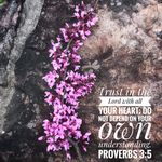 Profile Picture of Kelly Ogburn (@entrustministrytowomen) on Instagram