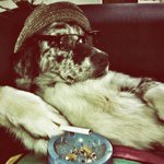 Profile Picture of Christopher Calhoun (@chrisclhn) on Instagram