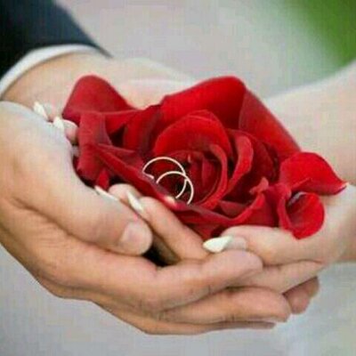 Profile Picture of OMAR AHMAD MAHMAD (@8d33ce66abe6407) on Twitter