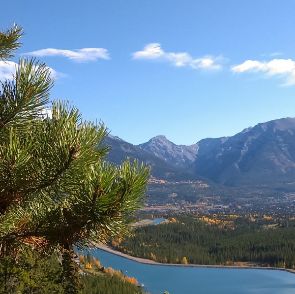 Profile Picture of Piper Avramenko (@pipercavr) on Poshmark