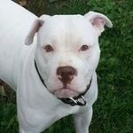 Profile Picture of Kevin Race (@kevin.race) on Instagram