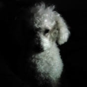 Profile Picture of Graham Mullen (@grahammullen6678) on Youtube