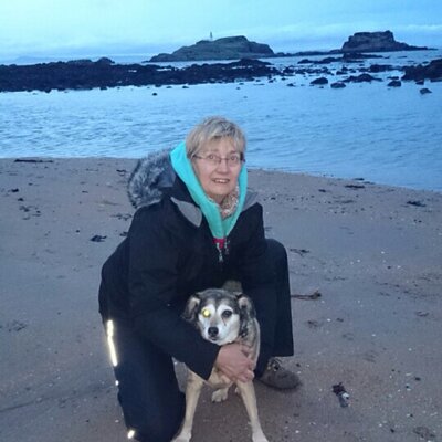 Profile Photo of Mary Ann Cosgrove (@CosgroveMA) on Twitter