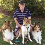 Profile Picture of Jim McCleary (@mccleary.jim) on Instagram