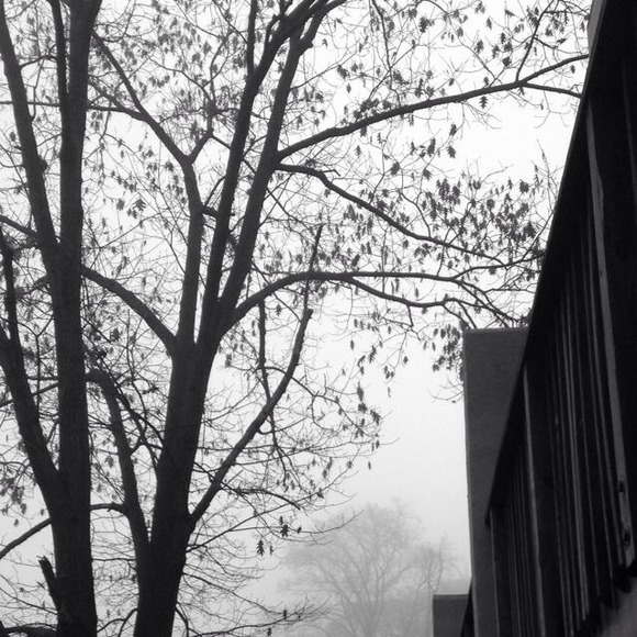 Profile Picture of Deepa Gurung (@deepatamu) on Poshmark