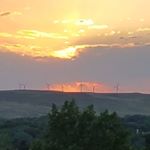 Profile Picture of Maxine Yates (@maxineyates5) on Instagram