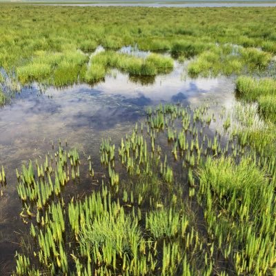 Profile Picture of Jon Ye (@JonYe666) on Twitter