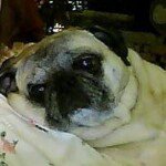 Profile Picture of Cindy Proctor Abshier (@cindy.proctorabshier) on Instagram