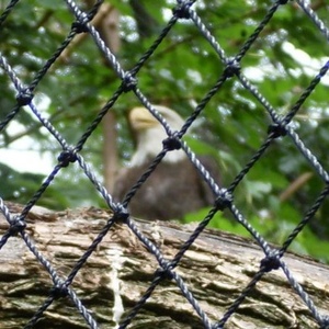 Profile Picture of Wayne Tamplin (@ozzy6990) on Myspace