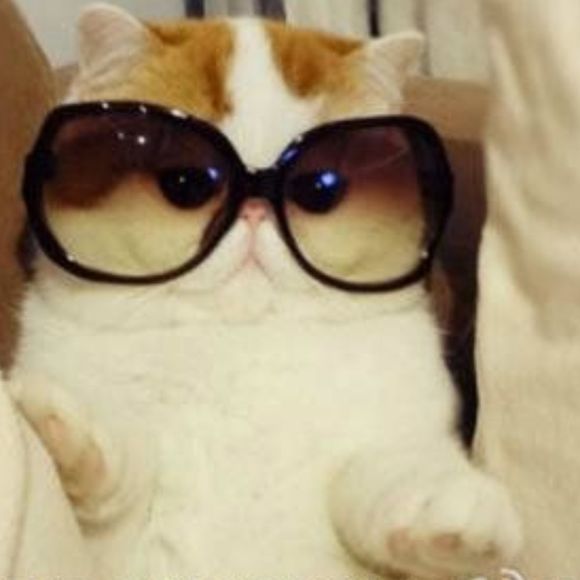 Profile Picture of Harold & harriet & harriet (@haroldnharriet) on Poshmark