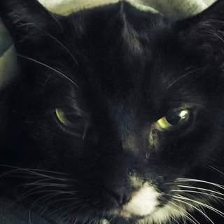 Profile Picture of April Hayes (@anhayes) on Instagram