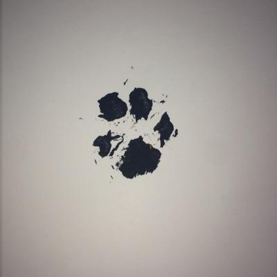 Profile Picture of Sam Haddock (@sam85004629) on Twitter