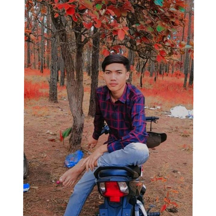 Profile Picture of Long Long (@longlong7631) on Tiktok