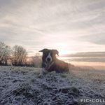 Delphine Meertens - Instagram Profile Picture of Delphine Meertens (@delphinem888) on Instagram