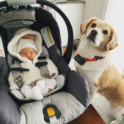 Profile Picture of HomeDepotJoseph (@JosephDepot) on Twitter