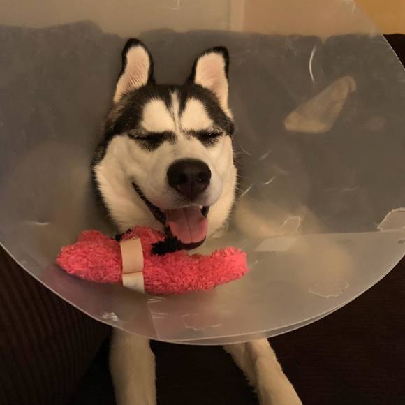 Dylan Moody - Poshmark Profile Picture of Dylan Moody (@dmoody54) on Poshmark