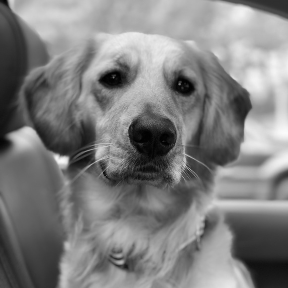 Profile Picture of Lindsey Moriarty (@lmoriarty77) on Poshmark