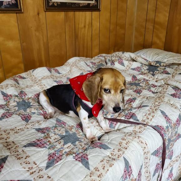 Profile Picture of Deborah Helms (@dlh130) on Poshmark