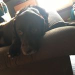 Profile Picture of Follow My Main @matthewknobe (@bella_._official) on Instagram