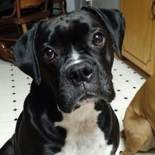 Profile Picture of Derek Anderson (@deralaand) on Twitter