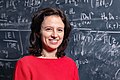 Profile Picture of Maria Colombo (mathematician)on Wikipedia