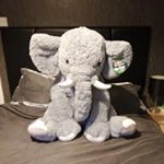 Profile Picture of Kay Foster (@kay.foster.1503) on Instagram