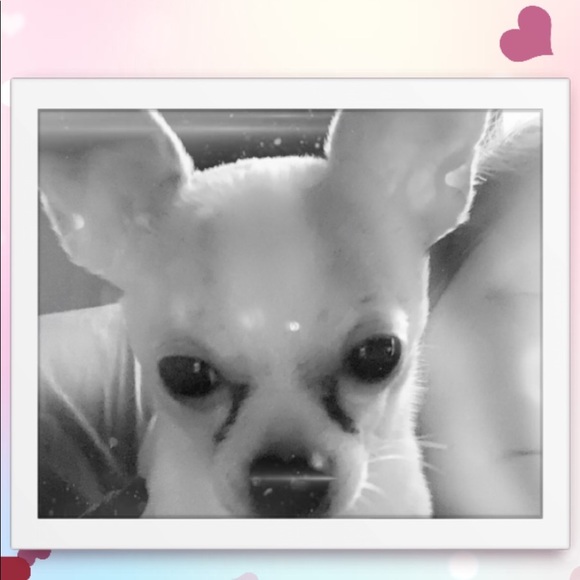 Profile Picture of Barbara Blarek (@partiebarbie412) on Poshmark