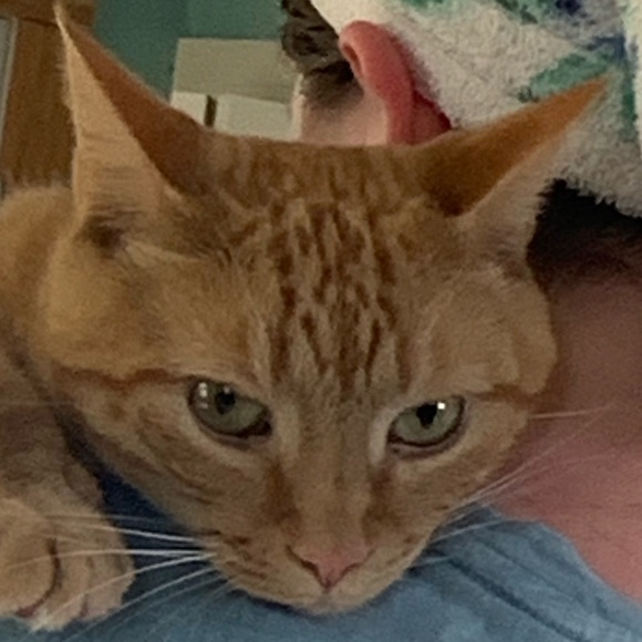 Profile Picture of Christine Cress (@christinecress) on Poshmark