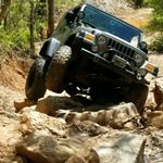 Profile Picture of Sal (@salcalabro56) on Instagram