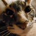 Profile Picture of Preston Chambers (@preston.chambers.1297) on Facebook