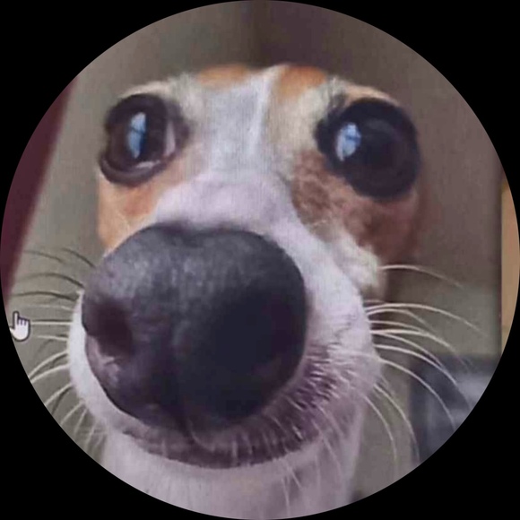 Profile Picture of Lily Rowlison (@cloutkid12) on Poshmark