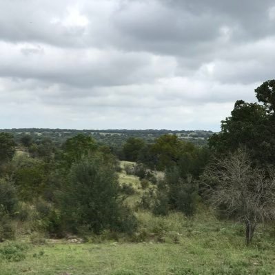 Profile Picture of David Chase (@davidwchase) on Twitter