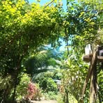 Profile Picture of Jan Kenneth S. Carballo (@Jan-Kenneth-S-Carballo) on Facebook