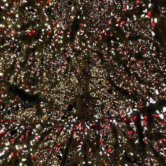 Profile Picture of Jose Rivas rivas (@joserivasr3) on Poshmark