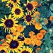 Profile Picture of Erica Brook (@ericabrookr) on Pinterest