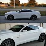 Profile Picture of Greg Greer (@greggreer7) on Instagram