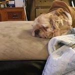 Profile Picture of Dawn Young bird (@winnipeg_thriftshop) on Instagram